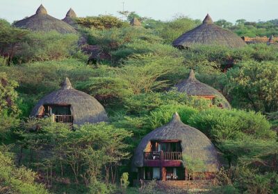 18-Day Kilimanjaro, Safari, and Zanzibar