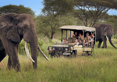 2-Day Tanzania Luxury Safari