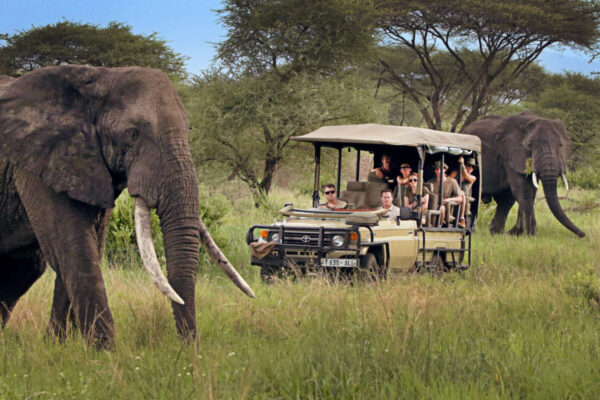 2-Day Tanzania Luxury Safari