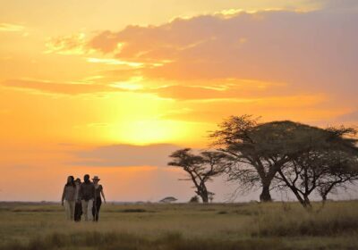 5-Day Best of Northern Circuits Safari