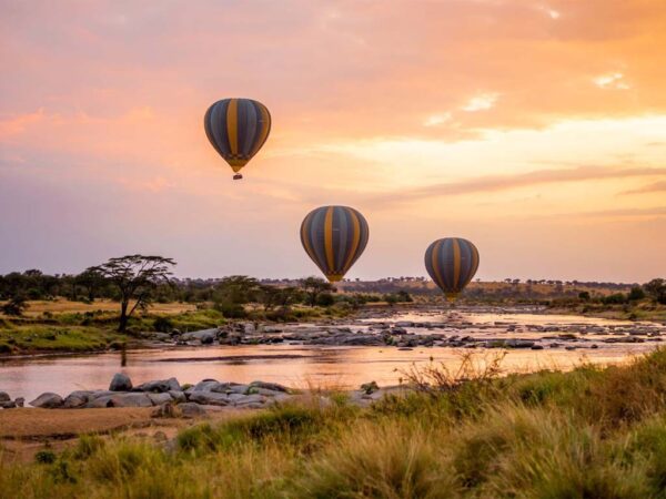 4-Day Fly-In & Out Serengeti Mid-Range Safari