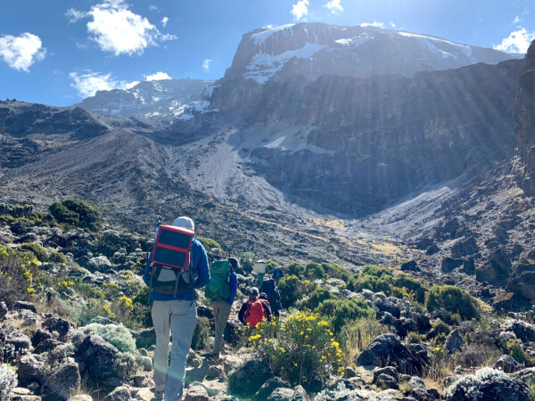 7-Day Kilimanjaro Lemosho Route