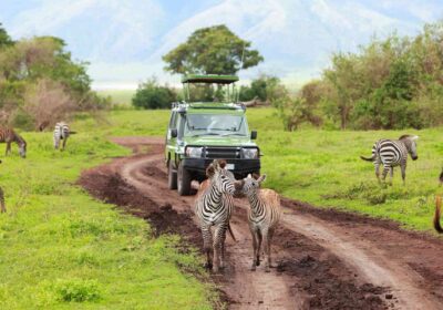 9-Day Safari through Kenya & Tanzania