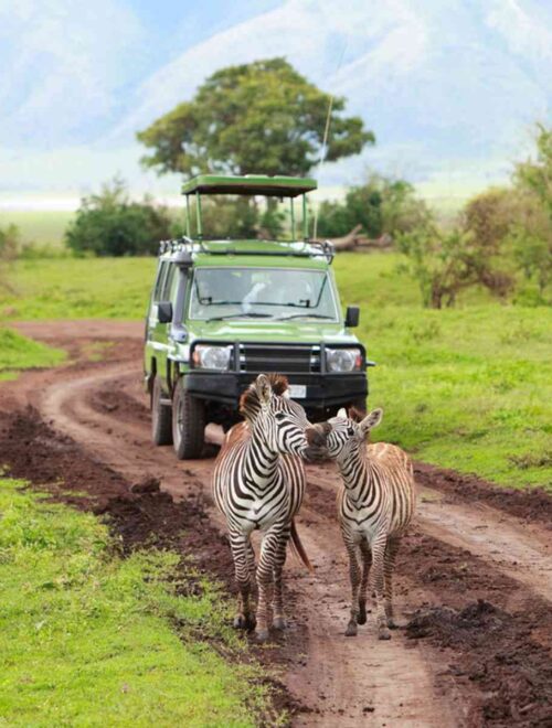 9-Day Safari through Kenya & Tanzania