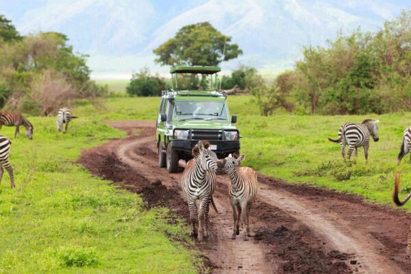 9-Day Safari through Kenya & Tanzania