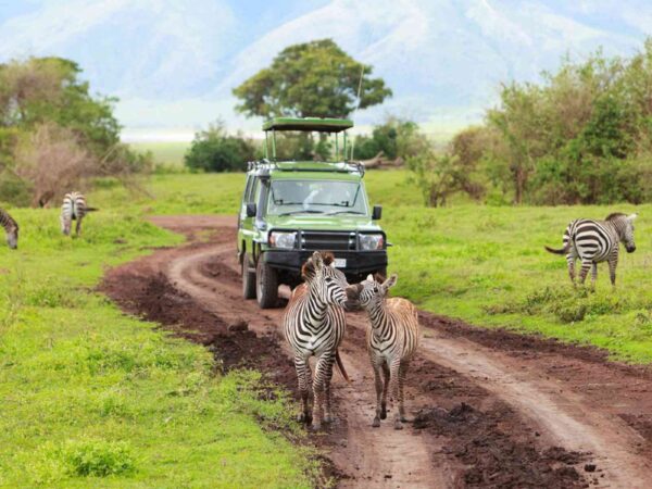 9-Day Safari through Kenya & Tanzania