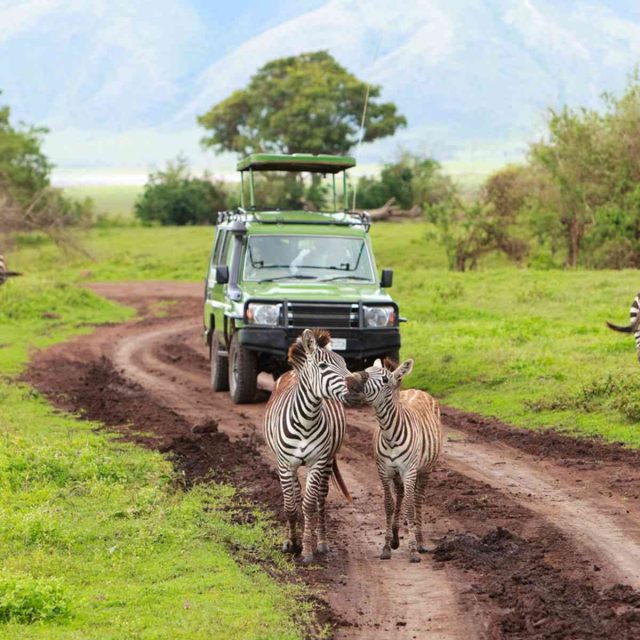 9-Day Safari through Kenya & Tanzania