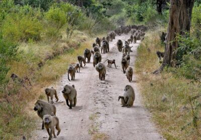 3-Day Private Experience Luxury