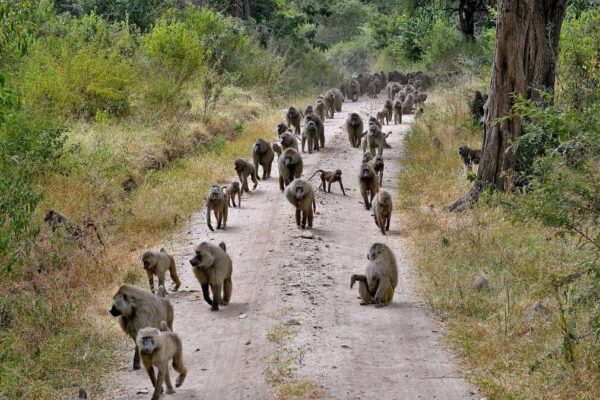 3-Day Mount Meru Trekking