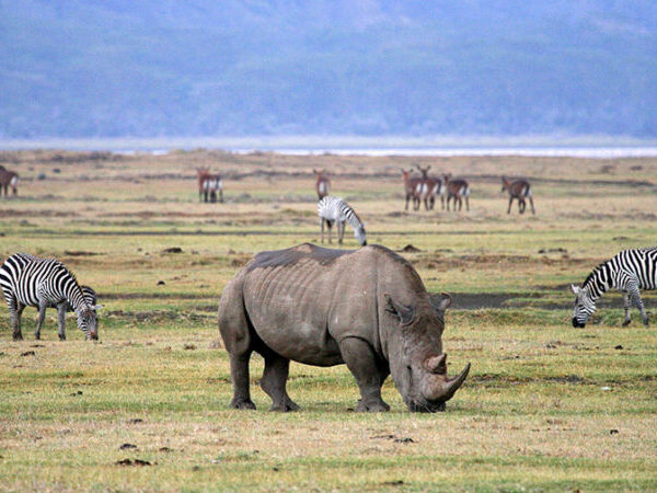 2-Day Tarangire and Ngorongoro mid-range