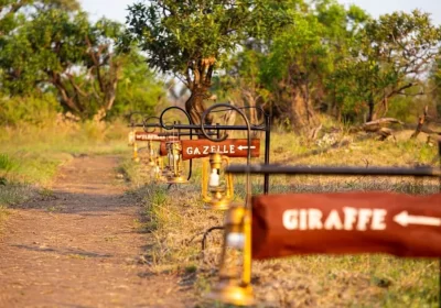 3-Day Ngorongoro Crater and Serengeti Safari