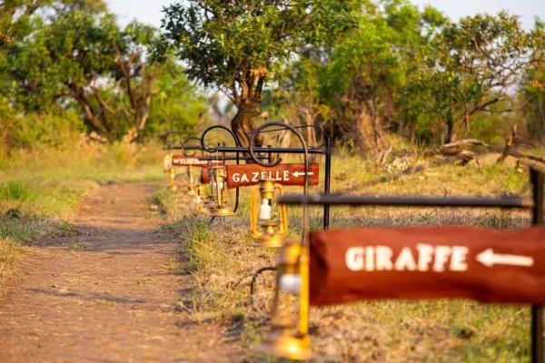 3-Day Ngorongoro Crater and Serengeti Safari