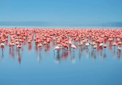 4-Day Wildlife and Cultural Tour