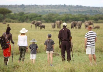 11-Day Kenya & Tanzania Safari: Masai Mara, Serengeti & More