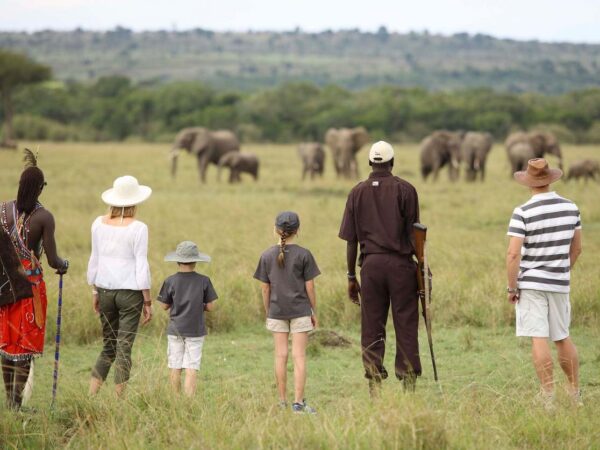 11-Day Kenya & Tanzania Safari: Masai Mara, Serengeti & More