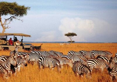 9-Day Safari through Kenya & Tanzania