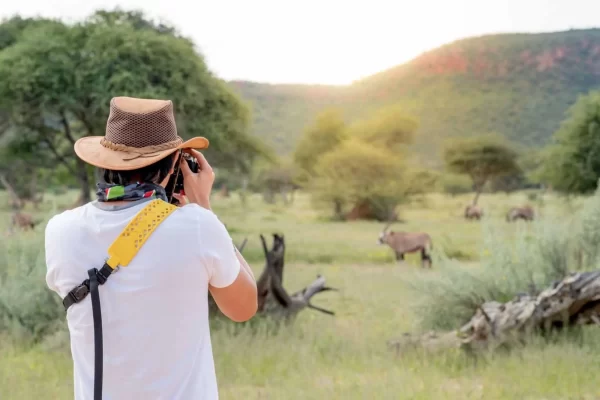 11 Day Tanzania Safari and Zanzibar Beach