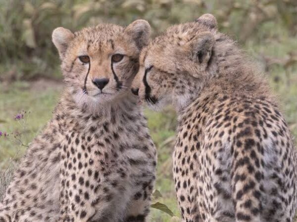 8-Day Photography Safari Adventure