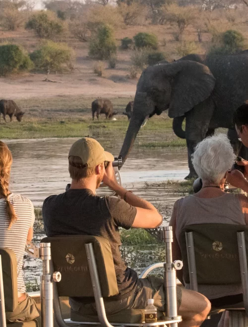 8-Day Private Photo Safari in the Serengeti
